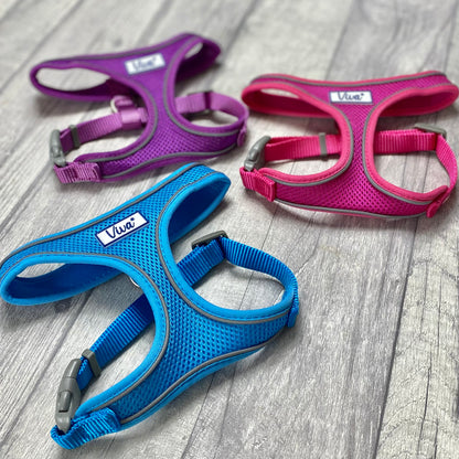 Comfort Harness