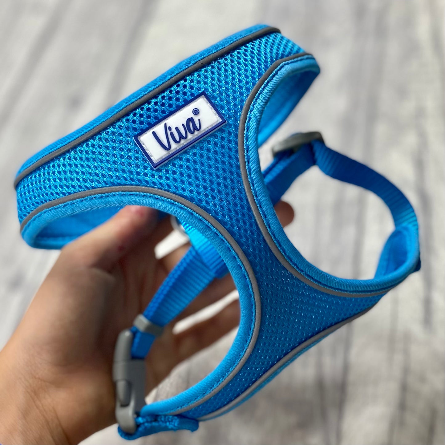 Comfort Harness