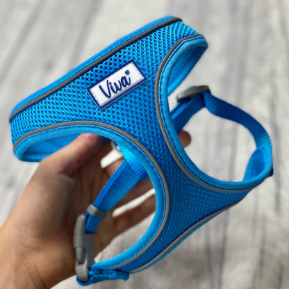 Comfort Harness
