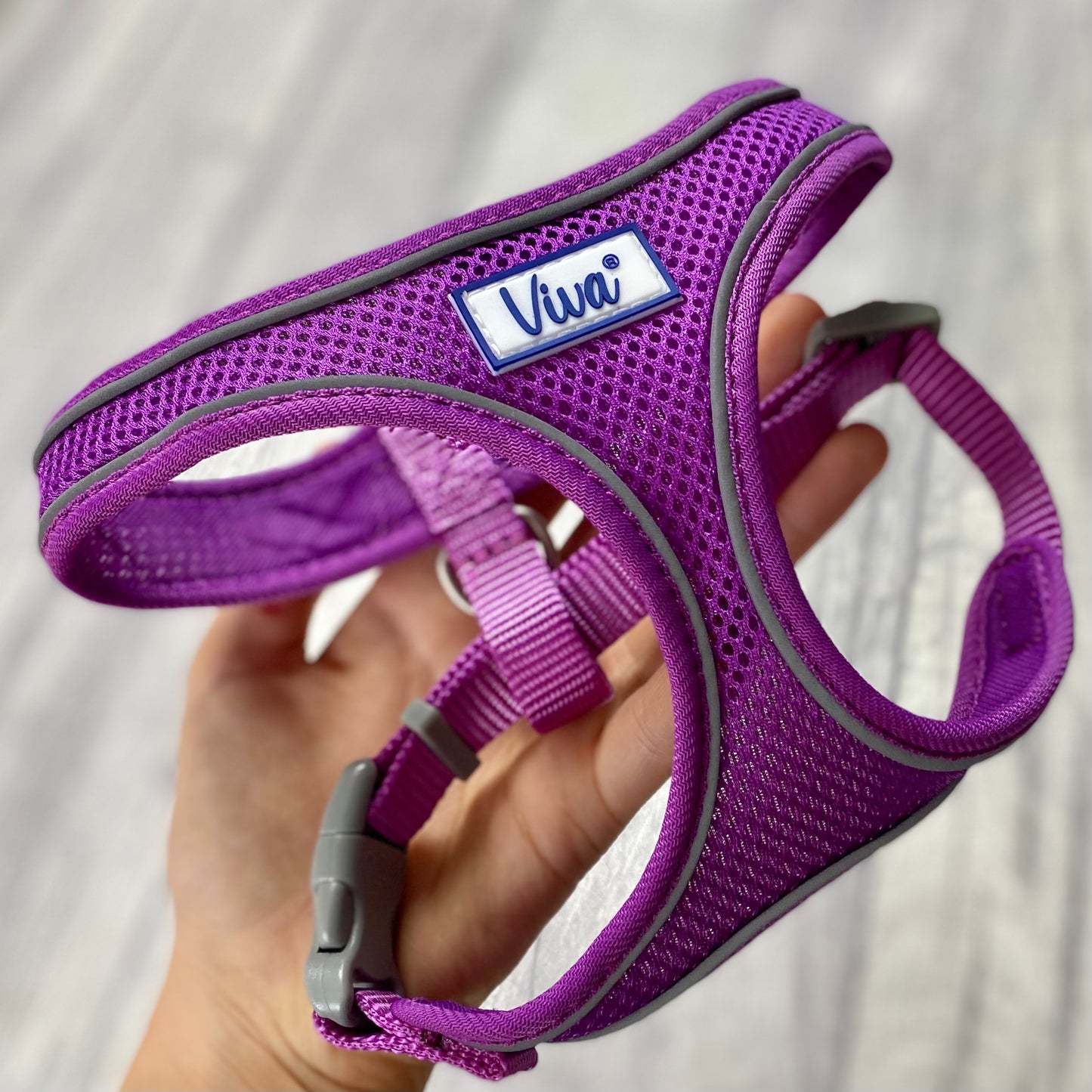 Comfort Harness