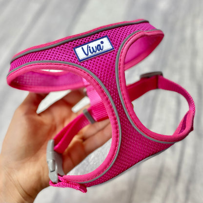 Comfort Harness