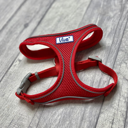Comfort Harness