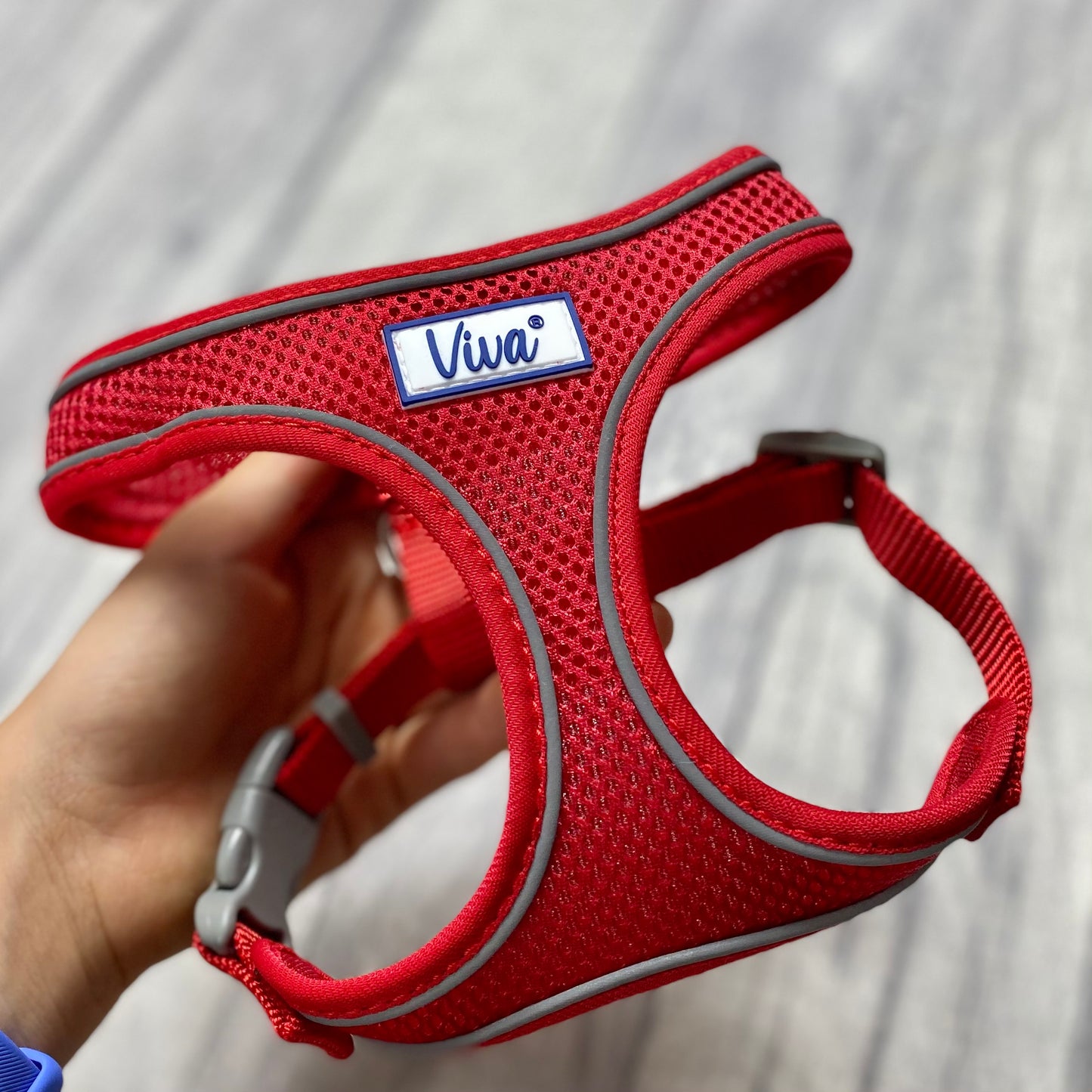 Comfort Harness