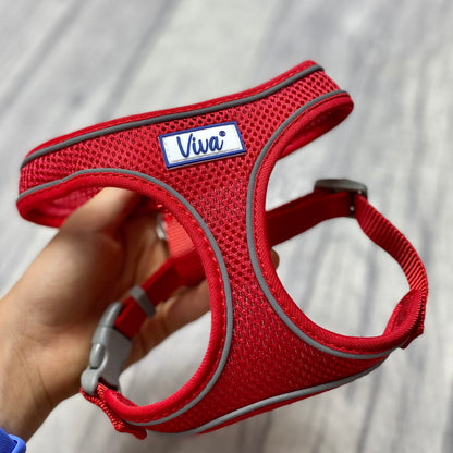 Comfort Harness