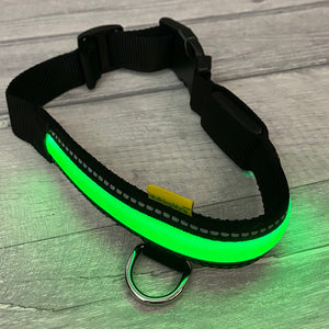 LED ‘Mesh’ Dog Collars - Battery