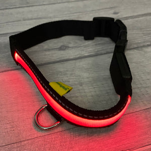 LED ‘Mesh’ Dog Collars - Battery