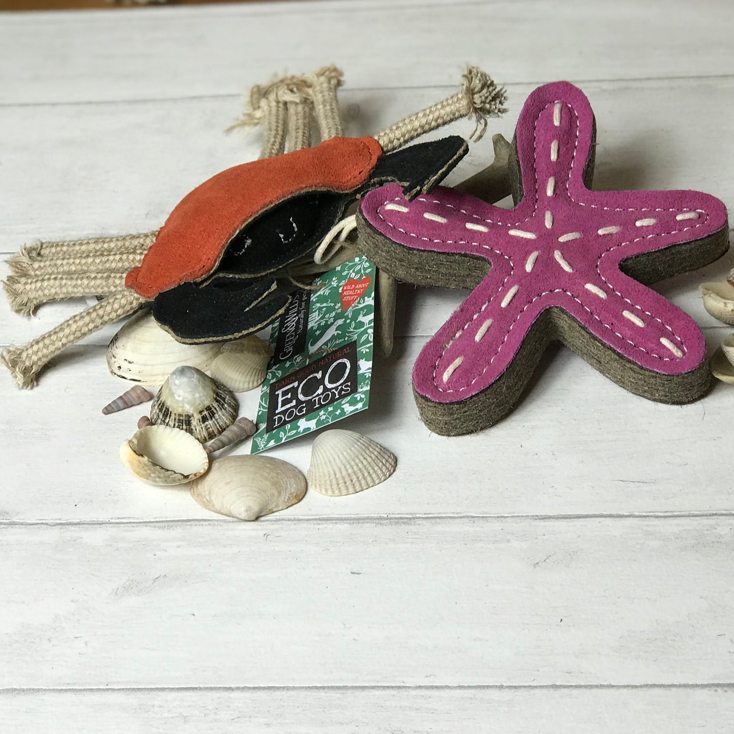 Stanley the Starfish Eco Dog Toy - Green and Wilds