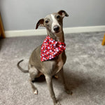 Load image into Gallery viewer, Mina and Frens Large Heart Pattern Bandanas
