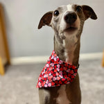 Load image into Gallery viewer, Mina and Frens Large Heart Pattern Bandanas
