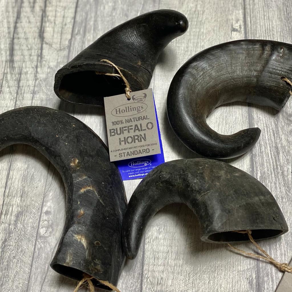 Buffalo Horn - Large Size