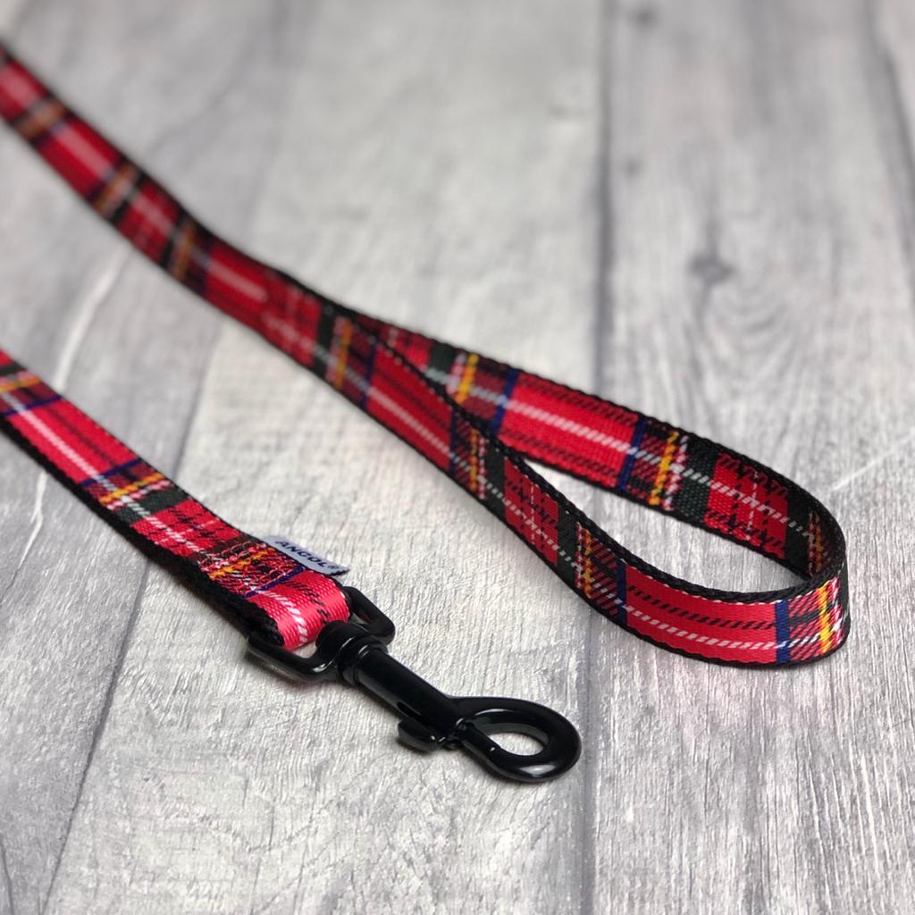 Red Tartan Lead